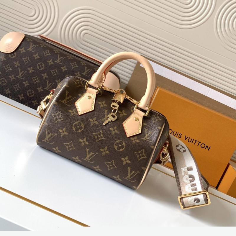 LV Speedy Bags